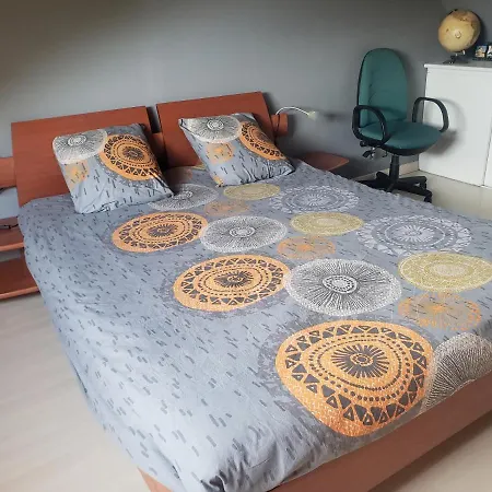 Проживание в семье Welcome To *